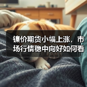 镍价期货小幅上涨,市场行情稳中向好如何看?(图4) 镍价期货小幅上涨,市场行情稳中向好如何看?(图4)
