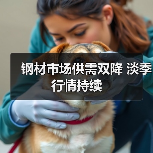 钢材市场供需双降 淡季行情持续(图2) 钢材市场供需双降 淡季行情持续(图2)