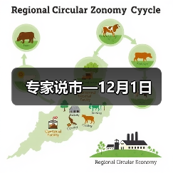 专家说市—12月1日(图2) 专家说市—12月1日(图2)