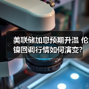 美联储加息预期升温 伦镍回调行情如何演变?(图1) 美联储加息预期升温 伦镍回调行情如何演变?(图1)