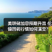 美联储加息预期升温 伦镍回调行情如何演变?(图3) 美联储加息预期升温 伦镍回调行情如何演变?(图3)