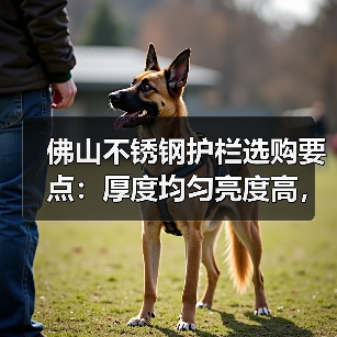 佛山不锈钢护栏选购要点:厚度均匀亮度高,欧式简约中式风格推荐(图3) 佛山不锈钢护栏选购要点:厚度均匀亮度高,欧式简约中式风格推荐(图3)