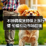 不锈钢现货持续上涨行情 伦镍拉动市场回暖(图4) 不锈钢现货持续上涨行情 伦镍拉动市场回暖(图4)