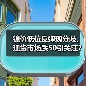 镍价低位反弹现分歧,现货市场跌50引关注?(图1) 镍价低位反弹现分歧,现货市场跌50引关注?(图1)