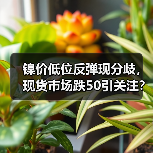 镍价低位反弹现分歧,现货市场跌50引关注?(图4) 镍价低位反弹现分歧,现货市场跌50引关注?(图4)