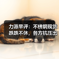 力源早评：不锈钢现货跌跌不休，各方抗压出货！（图4）