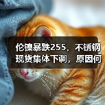 伦镍暴跌255,不锈钢现货集体下调,原因何在?(图3) 伦镍暴跌255,不锈钢现货集体下调,原因何在?(图3)