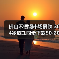 佛山不锈钢市场暴跌 304冷热轧同步下跌50-200元（图2）