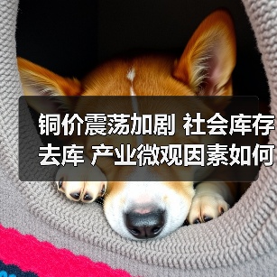 铜价震荡加剧 社会库存去库 产业微观因素如何影响市场？