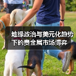 地缘政治与美元化趋势下的贵金属市场博弈(图4) 地缘政治与美元化趋势下的贵金属市场博弈(图4)