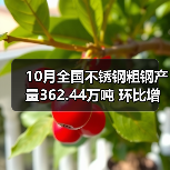 10月全国不锈钢粗钢产量362.44万吨 环比增长2.22%(图1) 10月全国不锈钢粗钢产量362.44万吨 环比增长2.22%(图1)