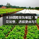 不锈钢网采购难题?常见场景、选择要点与5种方法揭秘(图2) 不锈钢网采购难题?常见场景、选择要点与5种方法揭秘(图2)