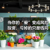 当你的“爱”变成风险投资,亏掉的只是钱吗?(图2) 当你的“爱”变成风险投资,亏掉的只是钱吗?(图2)